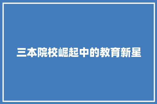 三本院校崛起中的教育新星