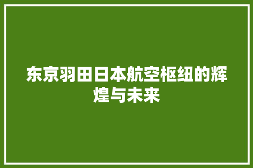 东京羽田日本航空枢纽的辉煌与未来