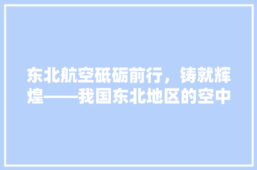东北航空砥砺前行，铸就辉煌——我国东北地区的空中明珠