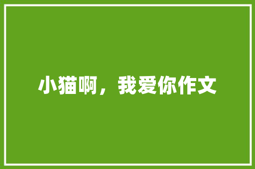 东昌学院砥砺前行，铸就辉煌——探索山东教育发展的新标杆