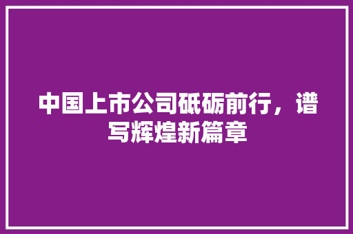 中国上市公司砥砺前行，谱写辉煌新篇章