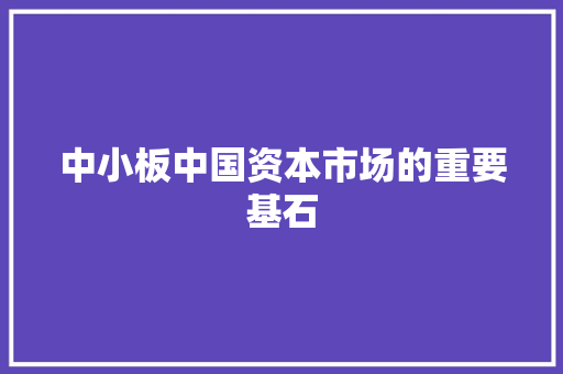 中小板中国资本市场的重要基石