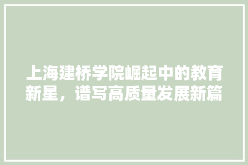 上海建桥学院崛起中的教育新星，谱写高质量发展新篇章