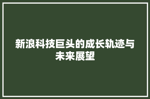 新浪科技巨头的成长轨迹与未来展望