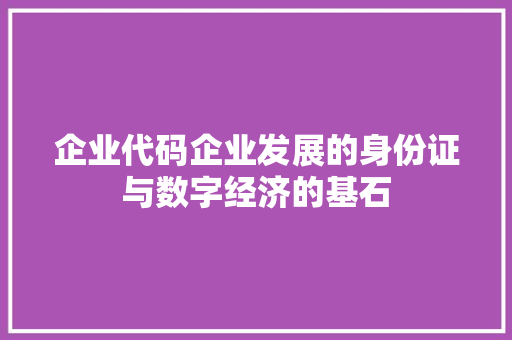 企业代码企业发展的身份证与数字经济的基石