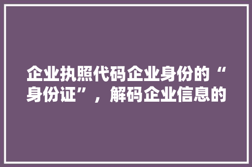 企业执照代码企业身份的“身份证”，解码企业信息的关键钥匙