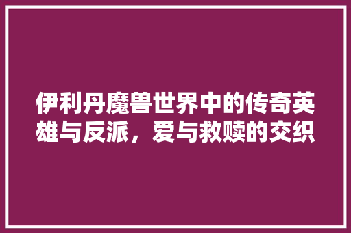伊利丹魔兽世界中的传奇英雄与反派，爱与救赎的交织