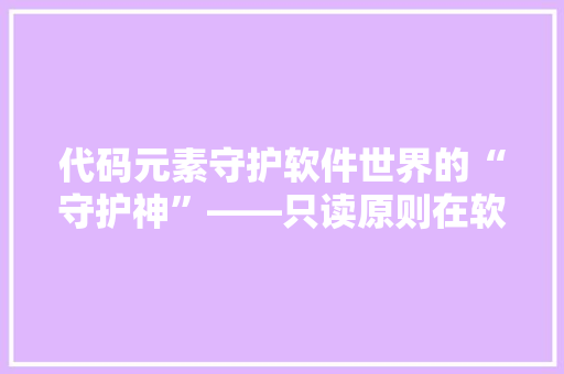 代码元素守护软件世界的“守护神”——只读原则在软件开发中的重要