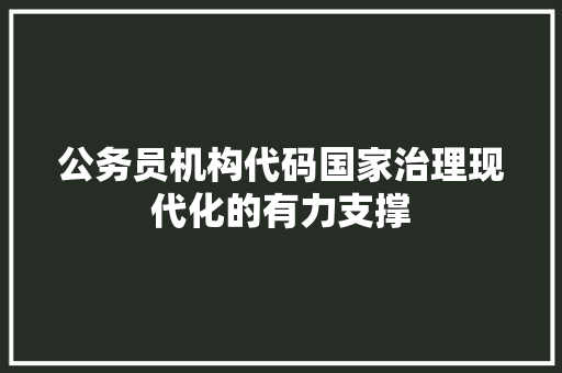 公务员机构代码国家治理现代化的有力支撑