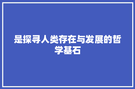 是探寻人类存在与发展的哲学基石