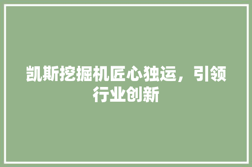 凯斯挖掘机匠心独运，引领行业创新