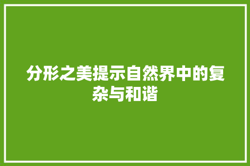 分形之美提示自然界中的复杂与和谐