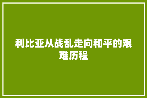 利比亚从战乱走向和平的艰难历程  第1张