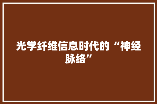 光学纤维信息时代的“神经脉络”