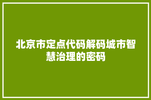 北京市定点代码解码城市智慧治理的密码