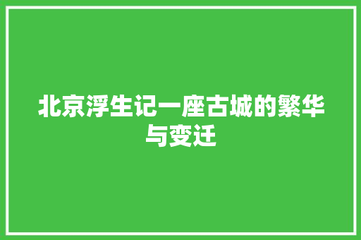 北京浮生记一座古城的繁华与变迁