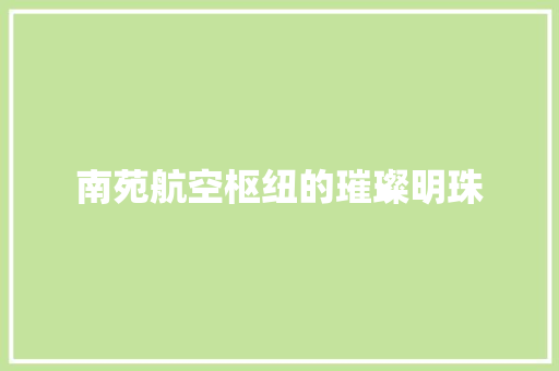 南苑航空枢纽的璀璨明珠