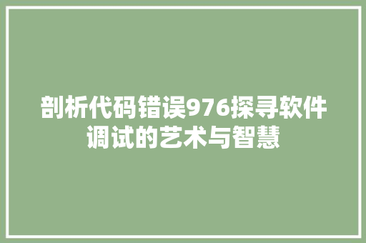 剖析代码错误976探寻软件调试的艺术与智慧
