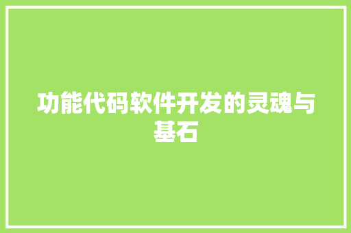 功能代码软件开发的灵魂与基石