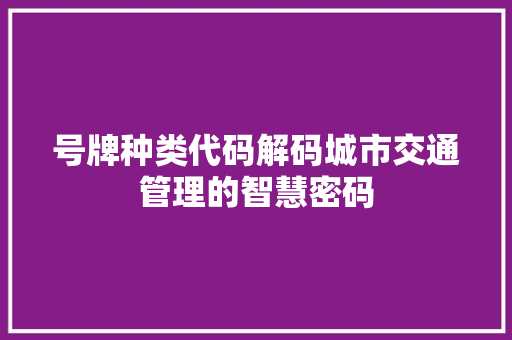 号牌种类代码解码城市交通管理的智慧密码