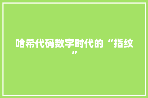 哈希代码数字时代的“指纹”
