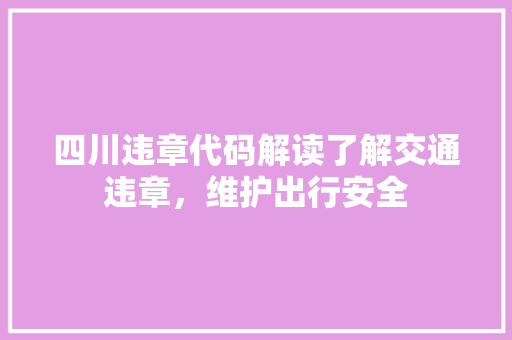 四川违章代码解读了解交通违章，维护出行安全