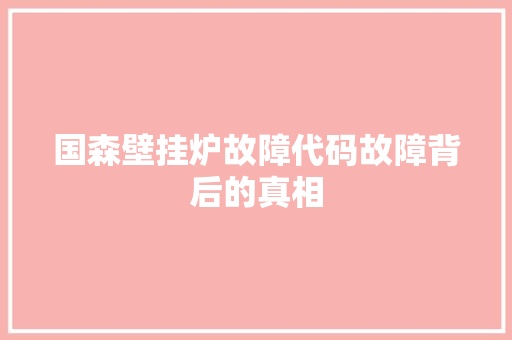 国森壁挂炉故障代码故障背后的真相