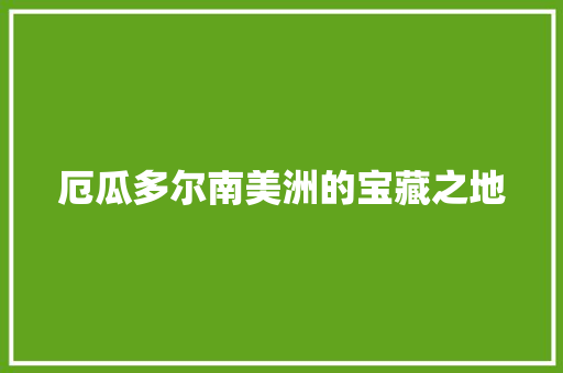 厄瓜多尔南美洲的宝藏之地