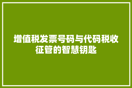 增值税发票号码与代码税收征管的智慧钥匙