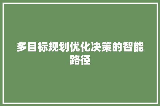 多目标规划优化决策的智能路径