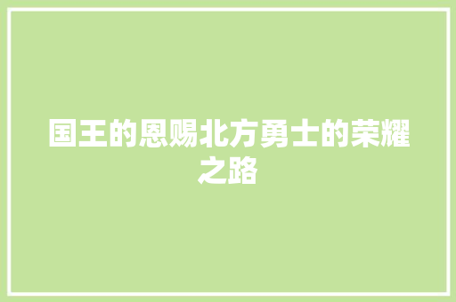 国王的恩赐北方勇士的荣耀之路