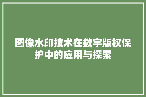 图像水印技术在数字版权保护中的应用与探索