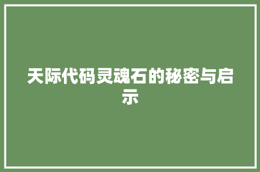 天际代码灵魂石的秘密与启示