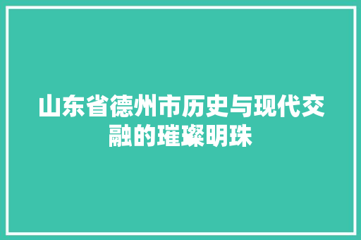 山东省德州市历史与现代交融的璀璨明珠