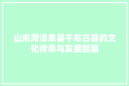 山东菏泽单县千年古县的文化传承与发展新篇