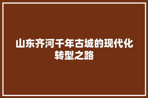 山东齐河千年古城的现代化转型之路