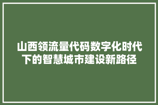 山西领流量代码数字化时代下的智慧城市建设新路径