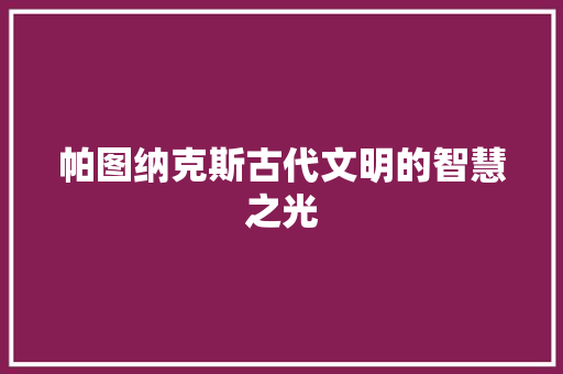帕图纳克斯古代文明的智慧之光
