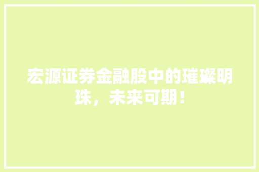 宏源证券金融股中的璀璨明珠，未来可期！