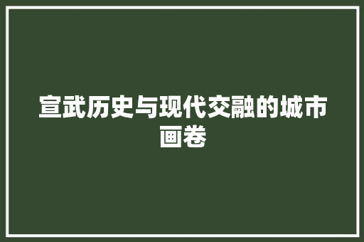 宣武历史与现代交融的城市画卷