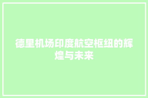 德里机场印度航空枢纽的辉煌与未来