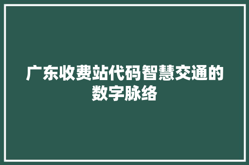 广东收费站代码智慧交通的数字脉络