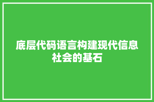 底层代码语言构建现代信息社会的基石