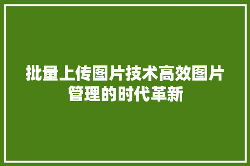批量上传图片技术高效图片管理的时代革新
