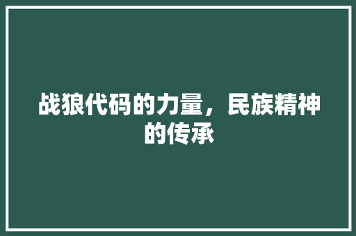 战狼代码的力量，民族精神的传承