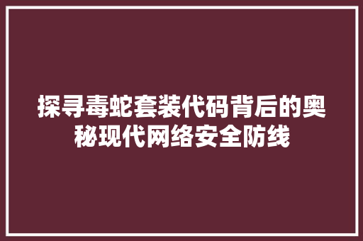 探寻毒蛇套装代码背后的奥秘现代网络安全防线