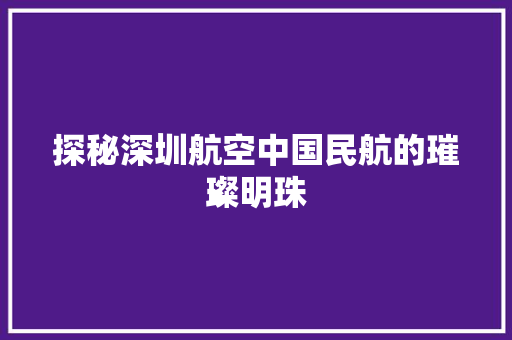 探秘深圳航空中国民航的璀璨明珠
