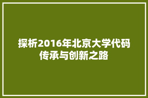 探析2016年北京大学代码传承与创新之路