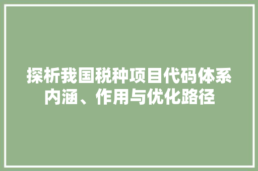 探析我国税种项目代码体系内涵、作用与优化路径