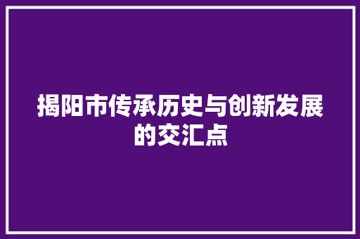 揭阳市传承历史与创新发展的交汇点